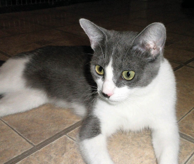 Someone to love: Pippa